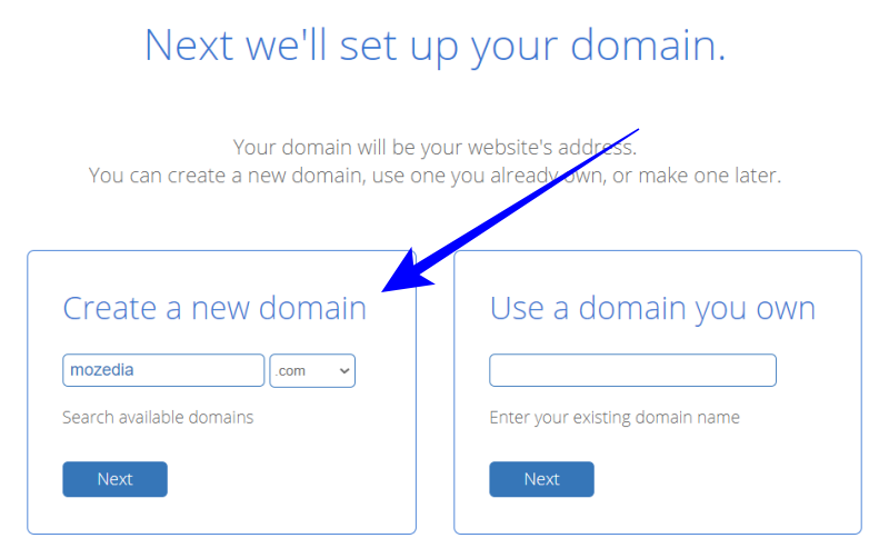 Setup a Free Domain
