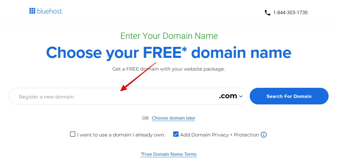 choose your domain name