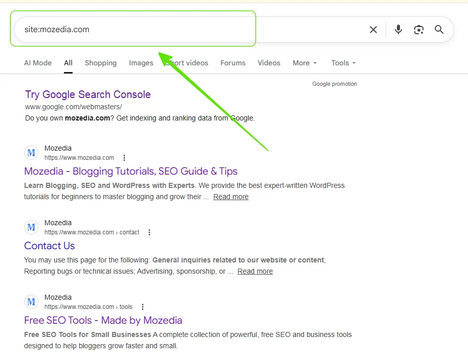 Website Pages Are Indexed