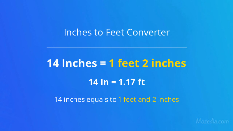 14 In. to Ft. Converter